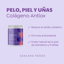 Colágeno Antiox 300g Cáscara Foods - Suples.cl