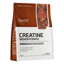 Creatina Monohidrato Ostrovit 300gr - Suples.cl