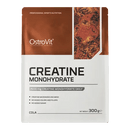Creatina Monohidrato Ostrovit 300gr - Suples.cl