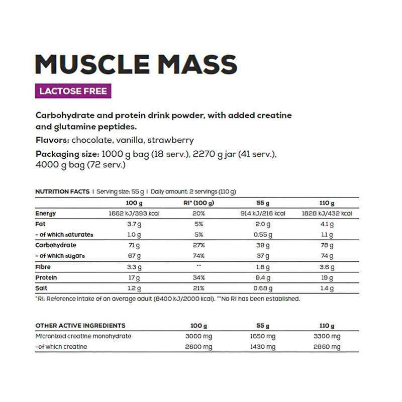 Muscle Mass 4000 Grs BioTechUSA